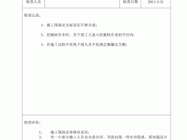 旅游项目安全检查记录(旅游安全检查专项行动方案)