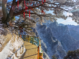 老界岭(老界岭属于哪个省哪个市)