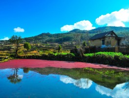 一月份去哪里旅游好(一月份去哪里旅游好玩)