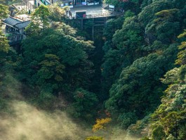 三清山门票(三清山门票教师证有优惠吗)