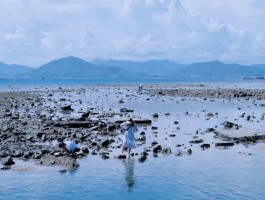 海岛旅行拍照小技巧(海岛旅行拍照小技巧图解)