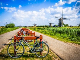 荷兰旅游骑自行车走丢的老爷子(荷兰旅游骑自行车走丢的老爷子是谁)