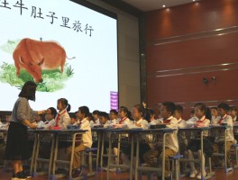 在牛肚子里旅行红头的心情变化是什么(在牛肚子里旅行中红头的心情变化是怎么的)