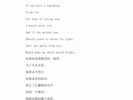 旅行文案海边拍照技巧怎么写的好呢英语翻译(旅行文案海边拍照技巧怎么写的好呢英语翻译中文)