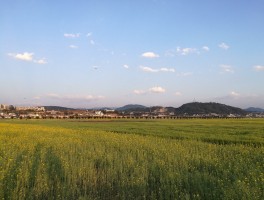 保山市昌宁县(保山市昌宁县柯街镇邮政编码)