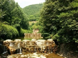 洛阳旅行社春节自驾游(洛阳旅行社春节自驾游路线)