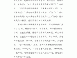 收拾好心情迎接新的旅行作文(收拾好心情迎接新的旅行作文怎么写)