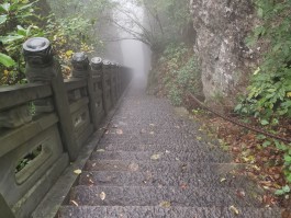 天目山旅游攻略(天目山旅游攻略自驾游)