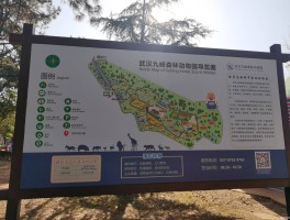 武汉野生动物园(武汉野生动物园游玩攻略)