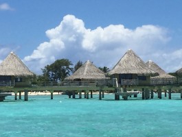 和平号环球旅行船期(和平号邮轮103天环球游)