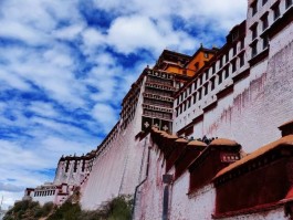 结婚前最值得旅行的地方(结婚前旅游还是结婚后旅游)