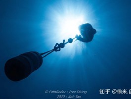 自由潜旅行拍照技巧(自由潜旅行拍照技巧视频)