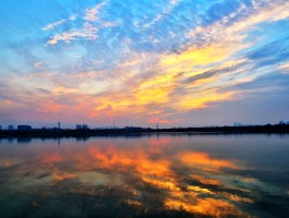 武汉汤逊湖(武汉汤逊湖可以钓鱼吗)