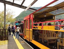 关于火车经典旅行路线记录的信息