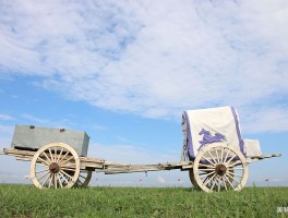 美女骑自行车去内蒙古旅游(美女骑自行车去内蒙古旅游视频)