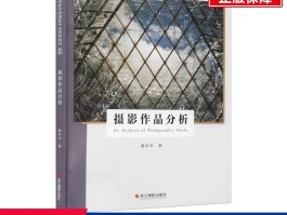 摄影图片分析技巧(摄影图片分析万能句型)
