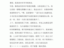 世界上最美的乡村美景作文(世界上最美的乡村美景作文400字)