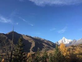 四姑娘山门票(四姑娘山门票怎么买)
