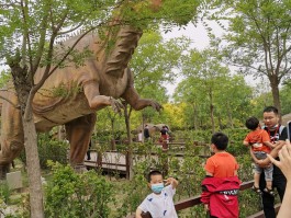 去光合谷旅游日记(去光合谷旅游日记300字)