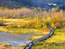 11月份合适去哪里旅游(11月份合适去哪里旅游呢)