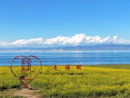 国内8月去哪里旅游好(8月去哪里旅行)