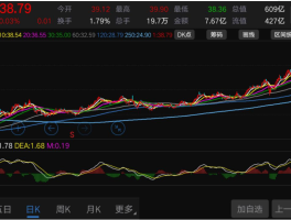 2023下半年如果牛市真的来了，什么股票最先涨，什么股票最后涨？为什么？的简单介绍