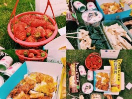 初夏去野餐吃什么好(夏天野餐必备食物物品清单)