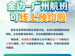 柬埔寨回国航班最新消息(柬埔寨回国航班最新消息2022)