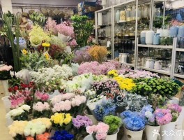 武汉花鸟市场(武汉花鸟市场哪个最大)