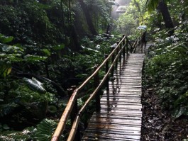 深圳青青世界门票(深圳青青世界门票价格)