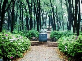武汉大学东湖(武汉大学东湖学院是几本)