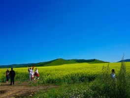 七月旅行最值得去的地方(七月旅行好去处)