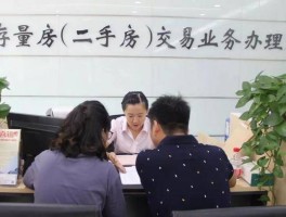 杭州女生抄底二手房，一年多亏了100万，哪些信息值得关注？如何看待当下杭州二手房市场？的简单介绍