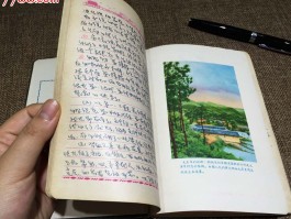 旅游日记图配文(旅游日记图文并茂)