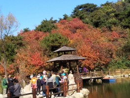济南九如山(济南九如山一日游攻略)