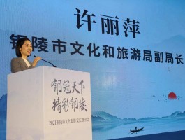 铜陵旅游资讯(铜陵旅游宣传片)