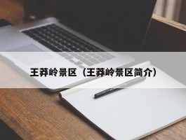 王莽岭景区（王莽岭景区简介）