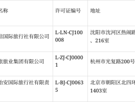 旅行社出境旅游记录怎么填(旅行社出境旅游记录怎么填写)