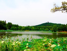 无锡旅行(无锡旅行社报价表)