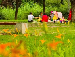 初夏吃什么野餐好(夏季野餐穿什么衣服最合适)