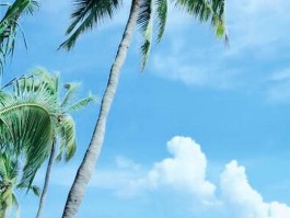 碧海蓝天放松心情的旅行的简单介绍