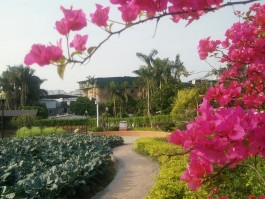 福建省厦门市湖里区(福建省厦门市湖里区人才服务中心)