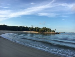 圣淘沙旅游美食攻略(圣淘沙有什么好玩的地方)