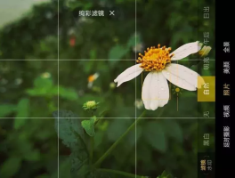 5个手机摄影小技巧(5个手机摄影小技巧图片)
