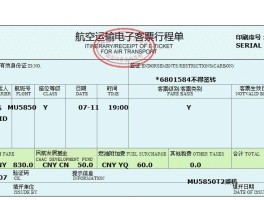 全国机票真伪查询系统(全国机票真伪查询系统app)