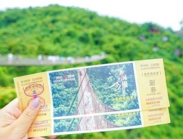 2023旅游通票和套票(2023旅游通票和套票一样吗)