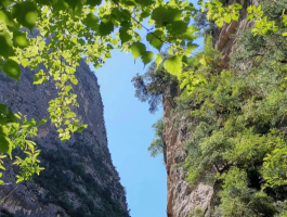 漳县旅游景点有哪些(漳县旅游景点有哪些 风景区名称)