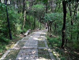 上方山国家森林公园(北京上方山国家森林公园)