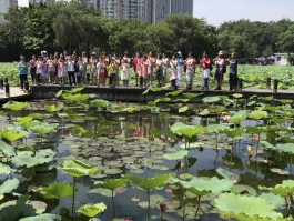 深圳洪湖公园(深圳洪湖公园有什么好玩的)