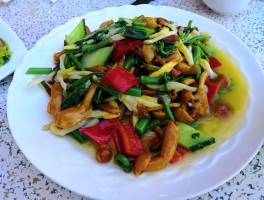 提米蒙旅游美食攻略(提米网络科技有限公司怎么样)